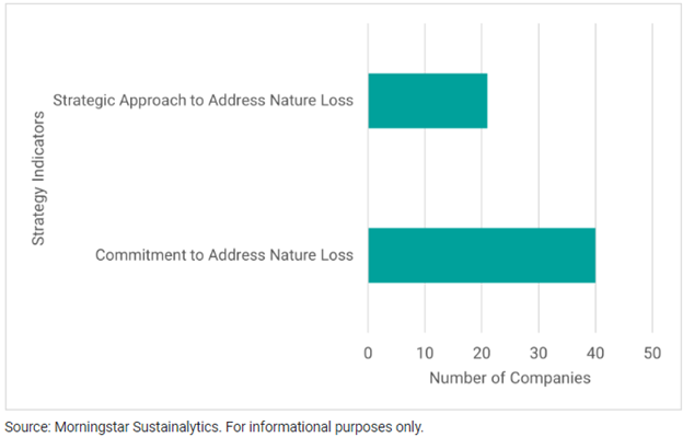 Sustainalytics Insight: Biodiversity & the Private Sector