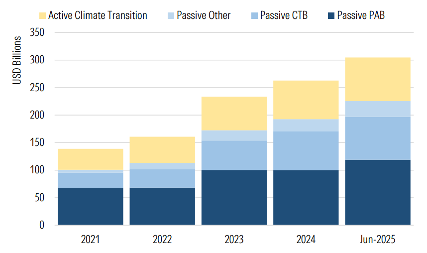 Assets in Climate Transition Funds Sub-Categories