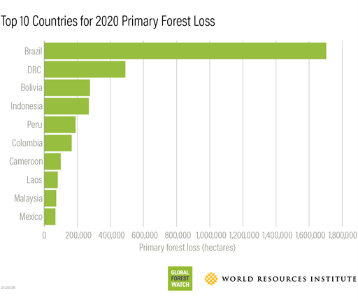 top 10 countries forest loss