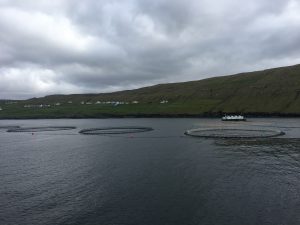 Faroe Islands fish farm - Sustainable Seafood