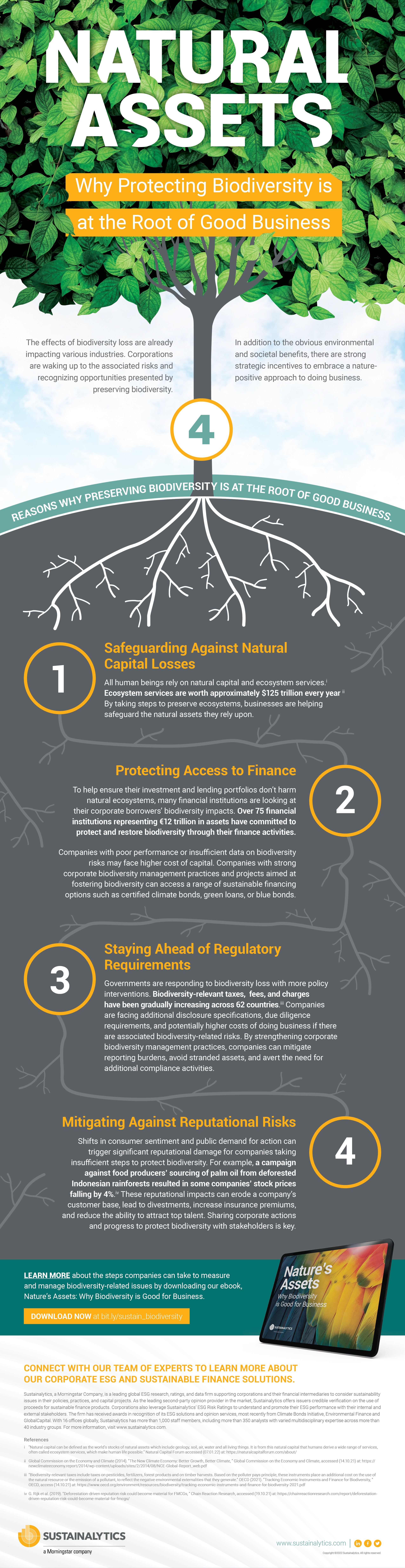 Download our infographic: Why Protecting Biodiversity is at the Root of Good Business
