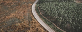 Navigating the EU Regulation on Deforestation-Free Products (EUDR): 5 Key Questions Answered About Company Readiness and Investor Risk