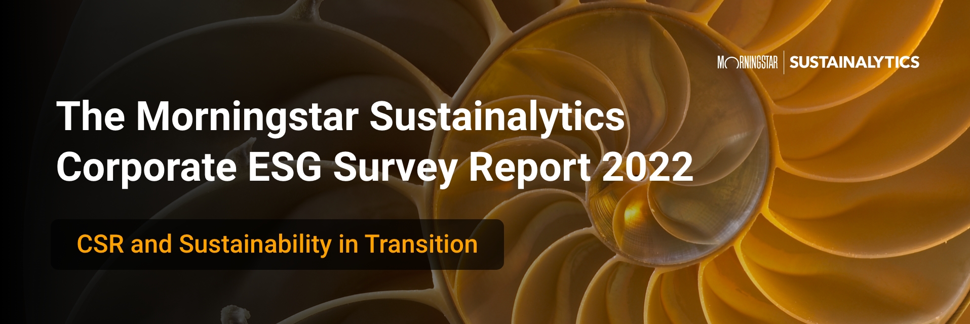 Download The Morningstar Sustainalytics Corporate ESG Survey Report 2022