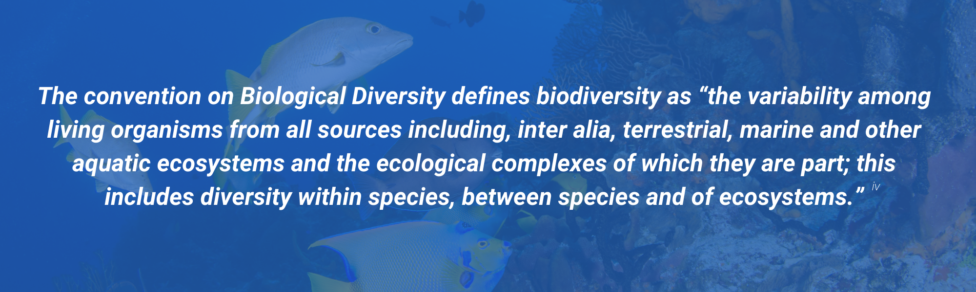 Biological Diversity definition
