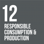 Responsible comsumption and production