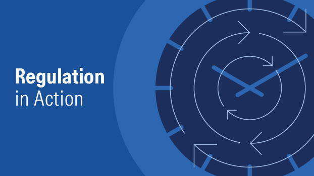 Regulation Vision Regulation in Action