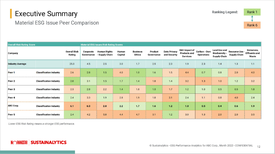 ESG Risk ratings report showcasing company analysis