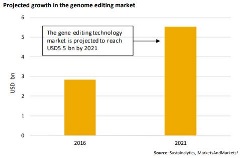 projected growth in genome editing market graph